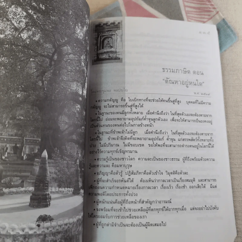 สันติรำลึก - หลวงพ่อชุมพล พลปญฺโญ รูปที่ 19