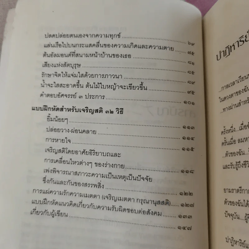 ปาฏิหาริย์แห่งการตื่นอยู่เสมอ - ติช นัท ฮันห์ รูปที่ 12