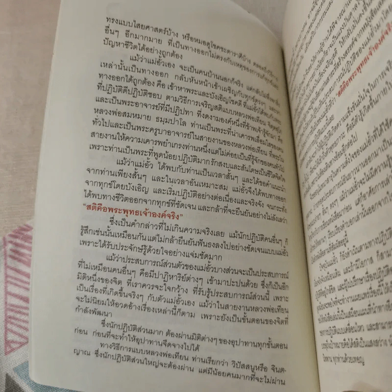 สติคือพระพุทธเจ้าองค์จริง รูปที่ 10