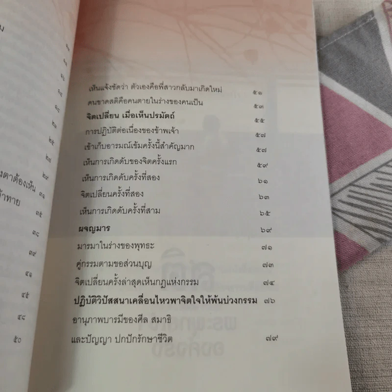 สติคือพระพุทธเจ้าองค์จริง รูปที่ 13