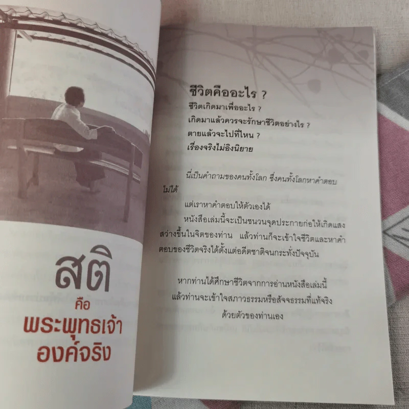 สติคือพระพุทธเจ้าองค์จริง รูปที่ 14