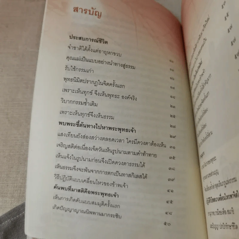 สติคือพระพุทธเจ้าองค์จริง รูปที่ 12
