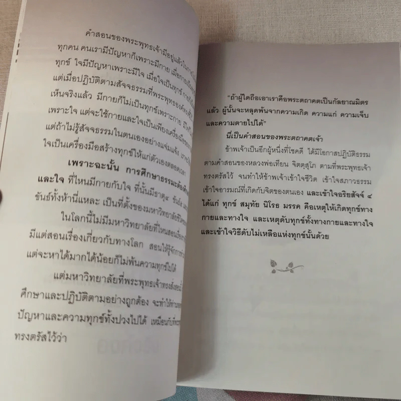 สติคือพระพุทธเจ้าองค์จริง รูปที่ 15