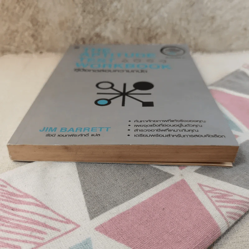The Aptitude Test Workbook คู่มือทดสอบความถนัด รูปที่ 3