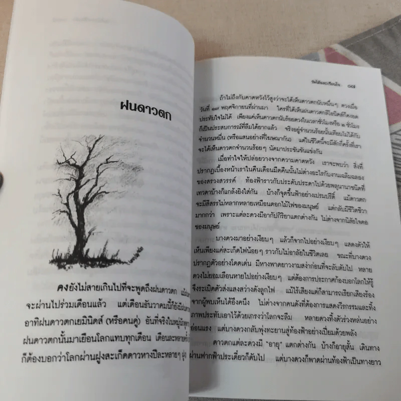 ร่มไม้และเรือนใจ - พระไพศาล วิสาโล รูปที่ 10