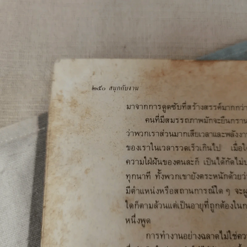 สนุกกับงาน วิธีทำงานอย่างชาญฉลาด รูปที่ 13