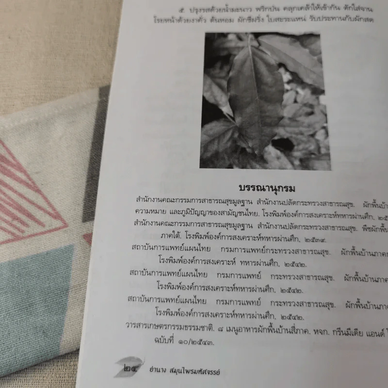 ย่านาง สมุนไพรมหัศจรรย์ - ใจเพชร มีทรัพย์ (หมอเขียว) รูปที่ 11