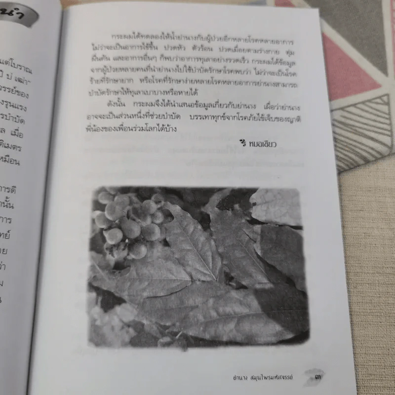 ย่านาง สมุนไพรมหัศจรรย์ - ใจเพชร มีทรัพย์ (หมอเขียว) รูปที่ 9