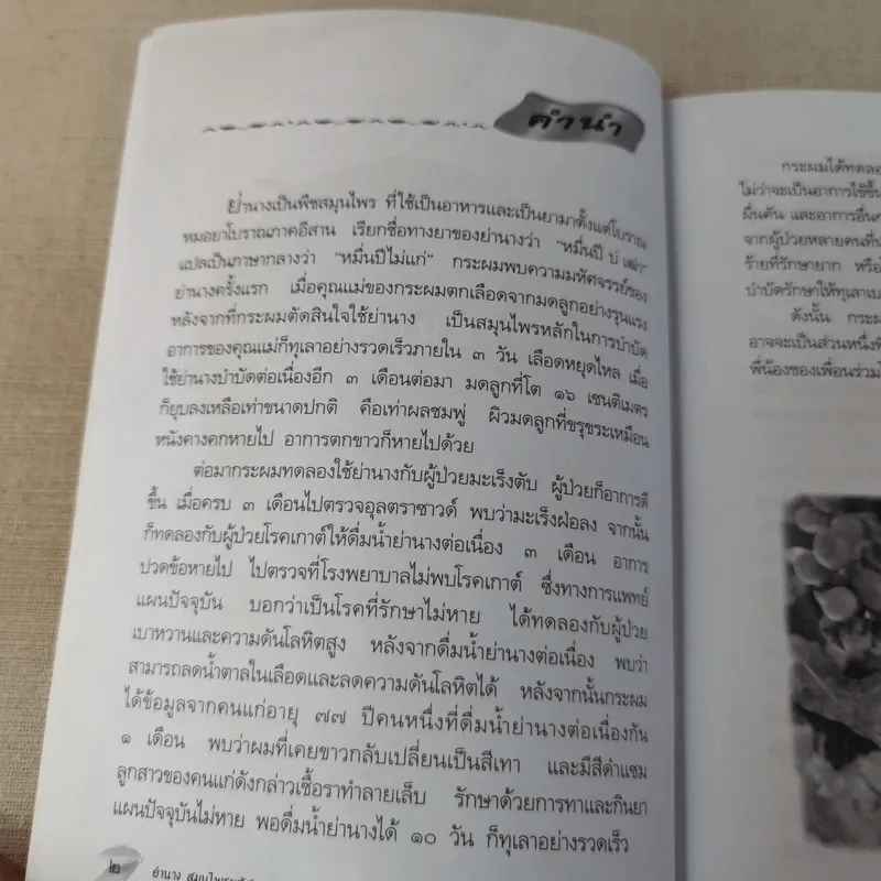 ย่านาง สมุนไพรมหัศจรรย์ - ใจเพชร มีทรัพย์ (หมอเขียว) รูปที่ 8