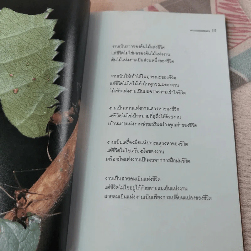 เพียงเพื่อกำลังใจ - วรกมล รูปที่ 10