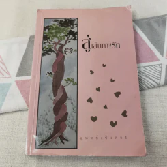 สู่เส้นทางรัก - แพทย์เชิงดอย รูปที่ 1