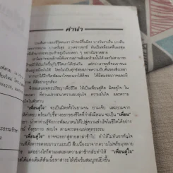 เพื่อนคู่ใจ - สุเทโว ภิกขุ รูปที่ 10
