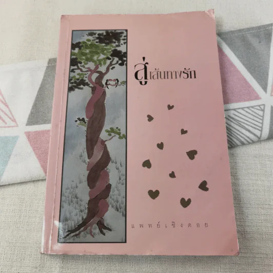 สู่เส้นทางรัก - แพทย์เชิงดอย รูปที่ 1