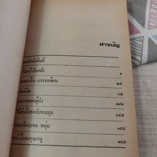 หน้านี้ของคุณหนู - บุญเหลือ รูปที่ 11