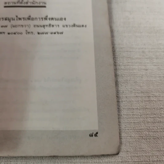 คู่มือว่านหางจระเข้ สมุนไพรมหัศจรรย์จากธรรมชาติ รูปที่ 13