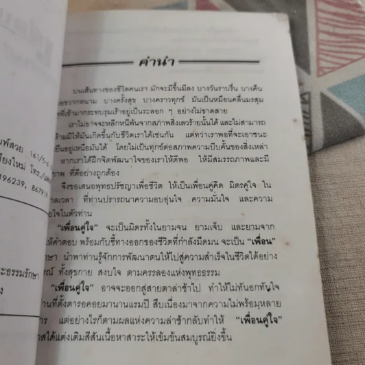 เพื่อนคู่ใจ - สุเทโว ภิกขุ รูปที่ 10
