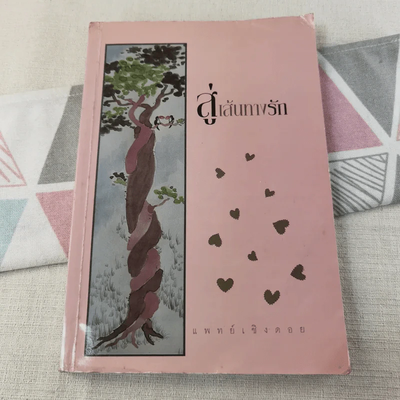 สู่เส้นทางรัก - แพทย์เชิงดอย รูปที่ 1