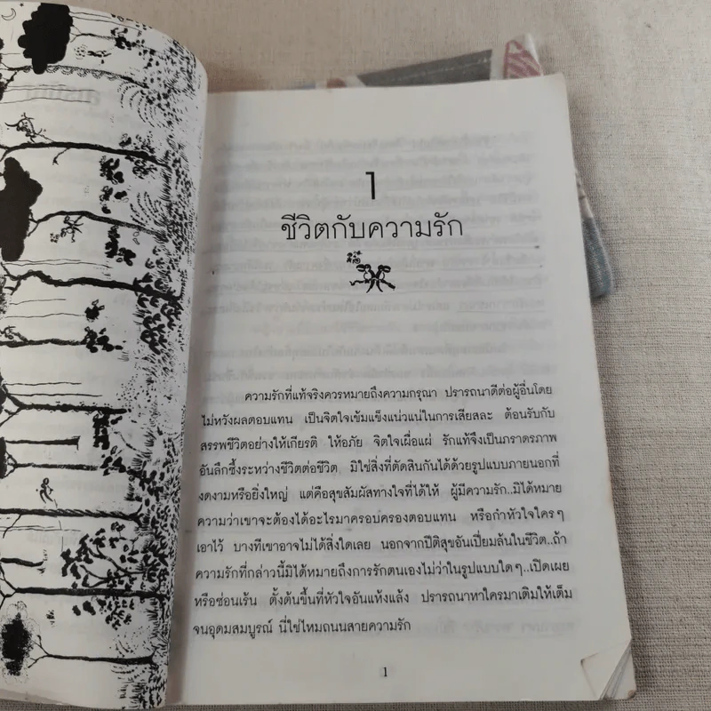 สู่เส้นทางรัก - แพทย์เชิงดอย รูปที่ 10