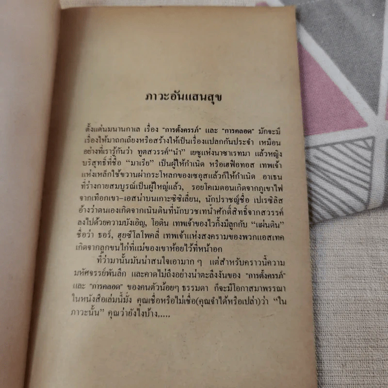 หวัดดีฮะ หนูอยู่นี่ - วิลลี่ ไบรน์โฮลส์ท รูปที่ 10