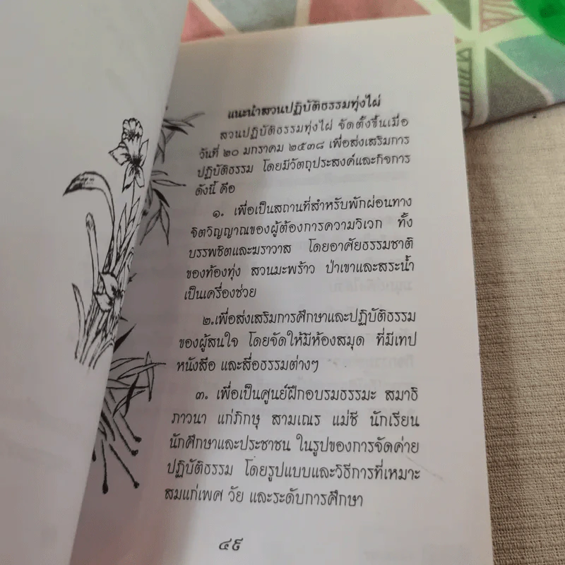 ดอกไม้แห่งชีวิต - สุธา ธรรมชาติ รูปที่ 12