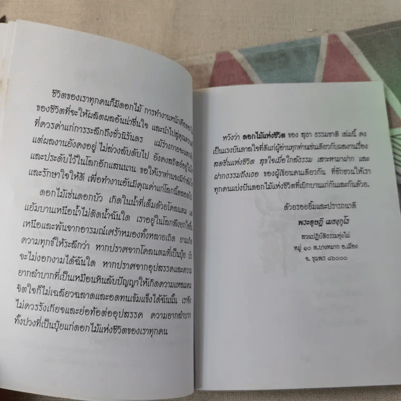 ดอกไม้แห่งชีวิต - สุธา ธรรมชาติ รูปที่ 10