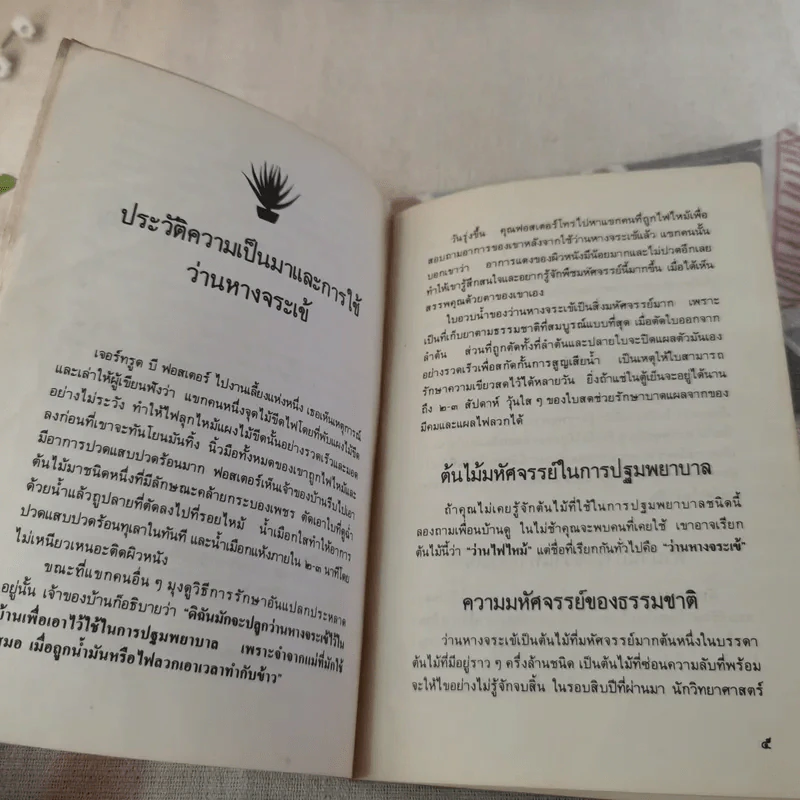 คู่มือว่านหางจระเข้ สมุนไพรมหัศจรรย์จากธรรมชาติ รูปที่ 10