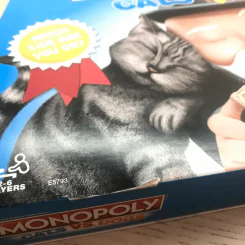 Monopoly Cats Vs. Dogs Board Game (เกมเศรษฐี แมว VS หมา) รูปที่ 5