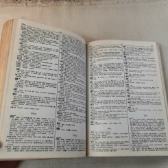 Times Dictionary Chinese-English รูปที่ 10