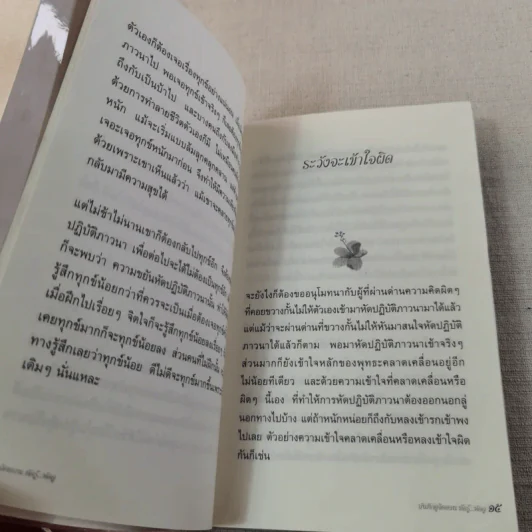 บันทึกดูจิต ตอน หัดรู้ หัดดู - สุรวัฒน์ เสรีวิวัฒนา รูปที่ 12