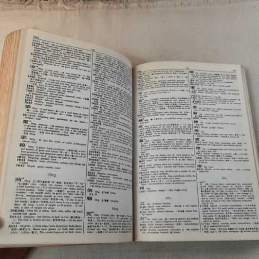 Times Dictionary Chinese-English รูปที่ 10
