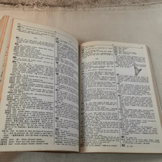 Times Dictionary Chinese-English รูปที่ 11