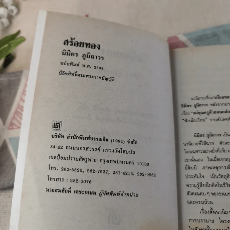 สร้อยทอง - นิมิตร ภูมิถาวร รูปที่ 8