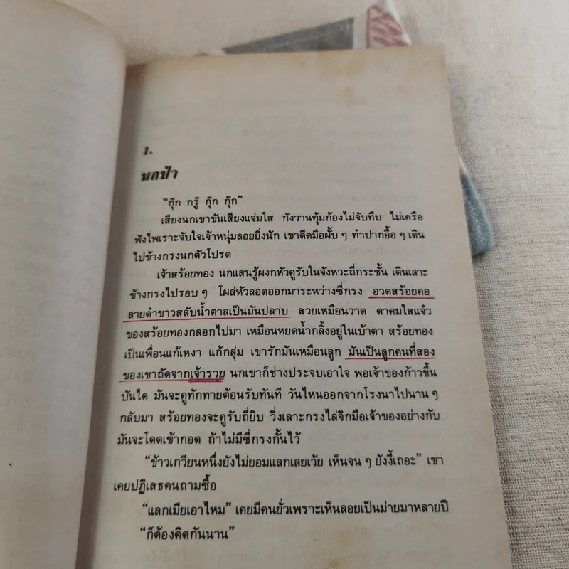 สร้อยทอง - นิมิตร ภูมิถาวร รูปที่ 12