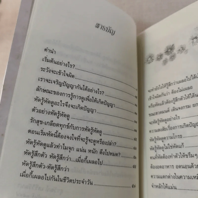 บันทึกดูจิต ตอน หัดรู้ หัดดู - สุรวัฒน์ เสรีวิวัฒนา รูปที่ 10
