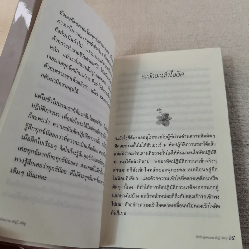 บันทึกดูจิต ตอน หัดรู้ หัดดู - สุรวัฒน์ เสรีวิวัฒนา รูปที่ 12