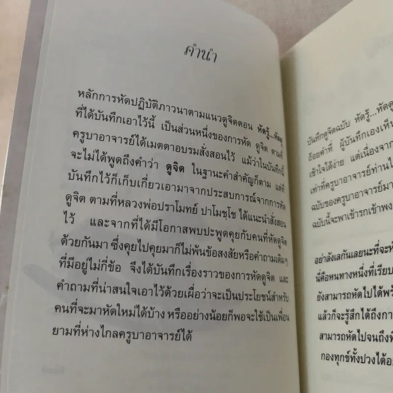 บันทึกดูจิต ตอน หัดรู้ หัดดู - สุรวัฒน์ เสรีวิวัฒนา รูปที่ 9