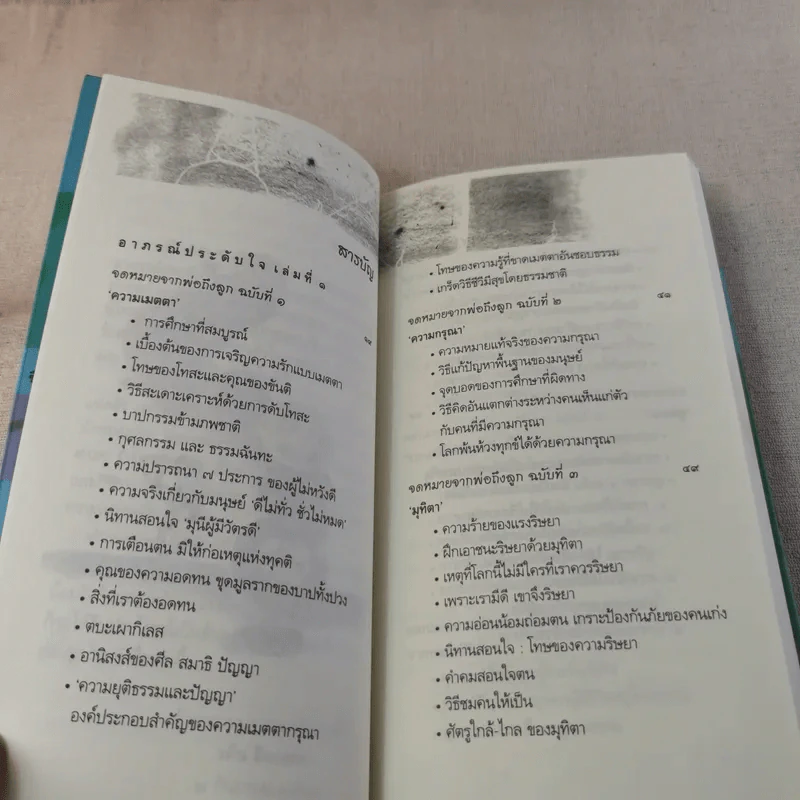อาภรณ์ประดับใจ - วศิน อินทสระ รูปที่ 9