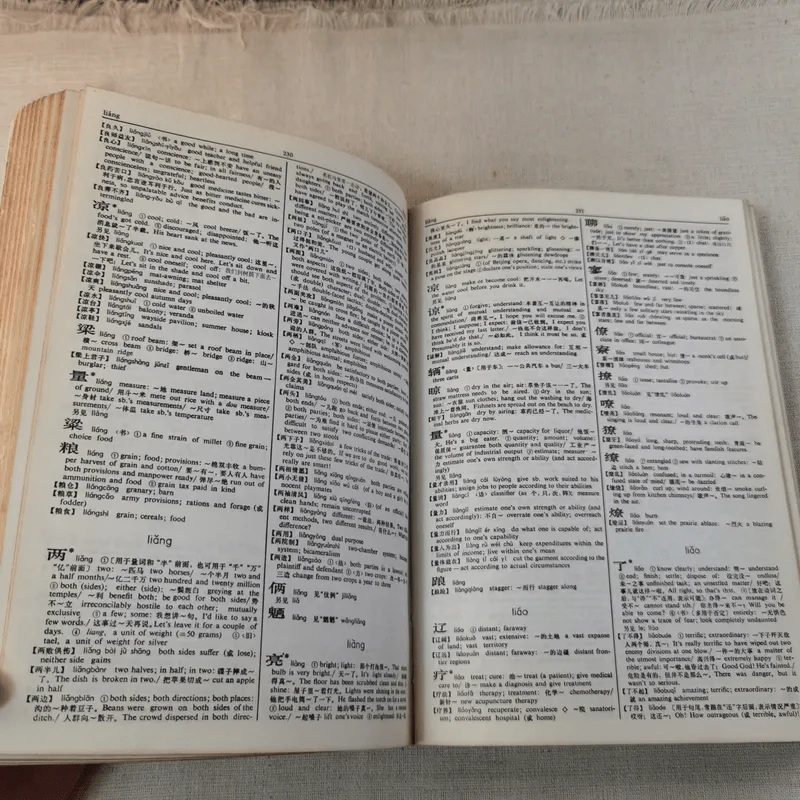 Times Dictionary Chinese-English รูปที่ 10