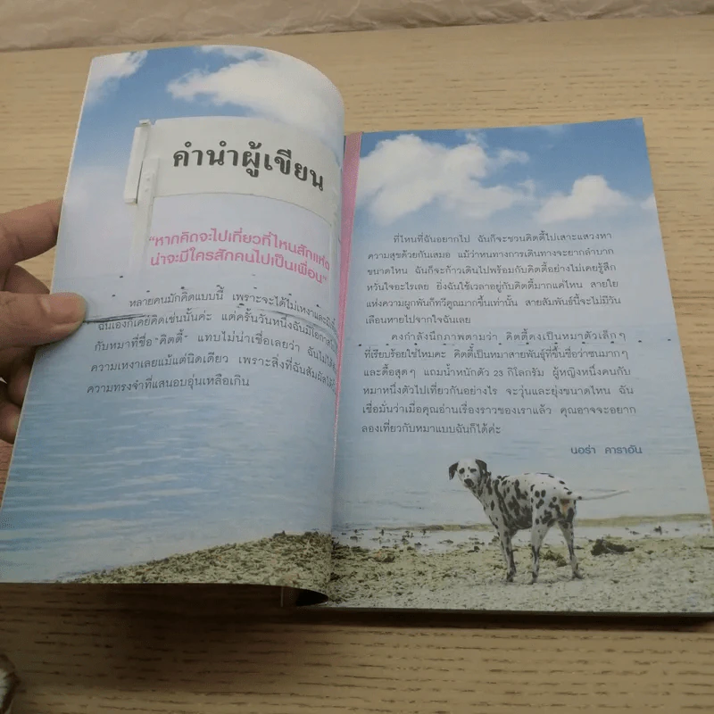 คิตตี้ขึ้นรถไฟเที่ยว การผจญภัยของสองสาว 1 คนกับ 1 ตัว รูปที่ 5