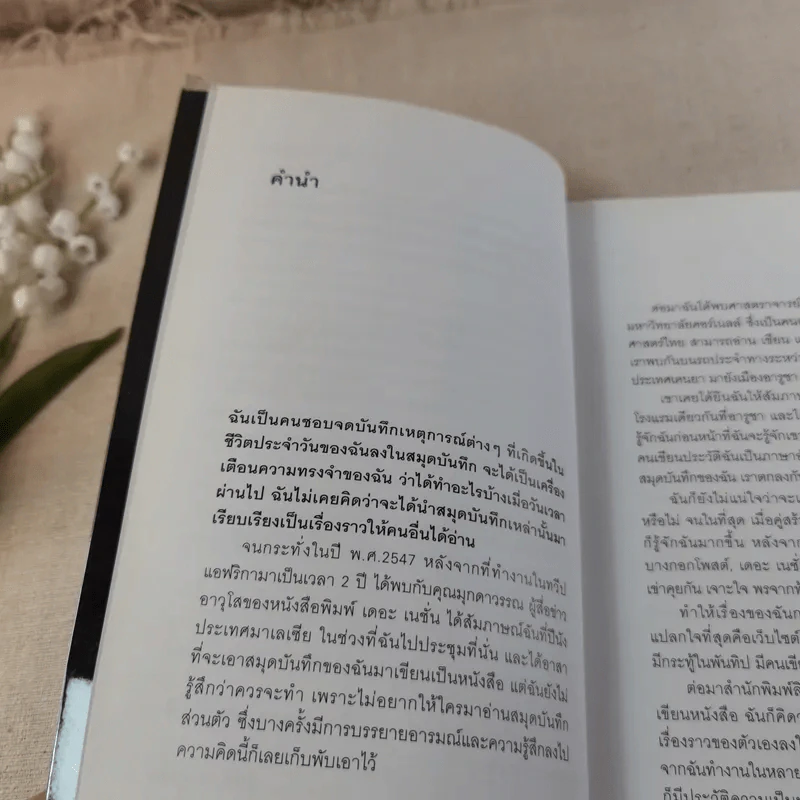 เภสัชกรยิปซี - ดร.กฤษณา ไกรสินธุ์ รูปที่ 10