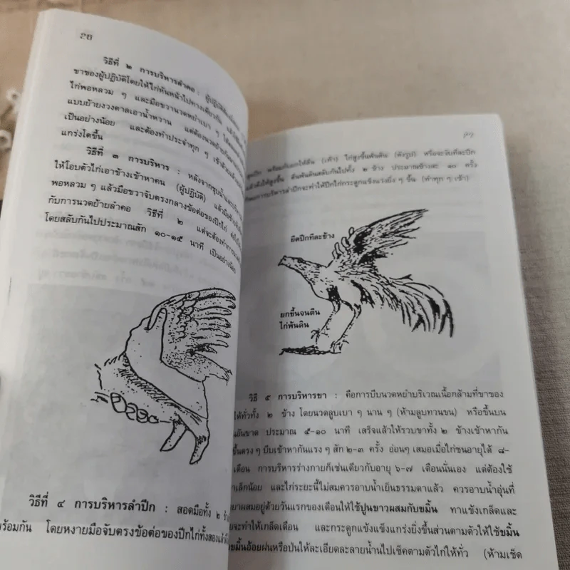 ไก่ชน เทคนิคการผสมพันธุ์และการเลี้ยงดู - รศ.ดร.อภิชัย รัตนวราหะ รูปที่ 13