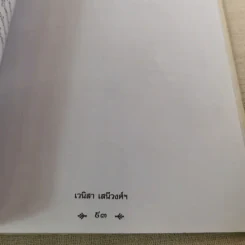 พระยาพิชัยดาบหัก - เวนิสา เสนีวงศ์ฯ รูปที่ 13