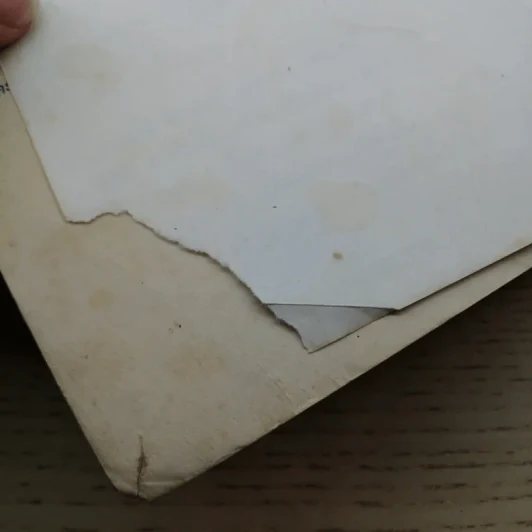 ทะลึ่ง ยกที่ 8 หนังสือคลายเครียดสำหรับผู้ใหญ่ รูปที่ 6
