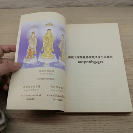 มหาสุขาวตีวยูหสูตร - พระวิศวภัทร เซี่ยเกี๊ยก แปล รูปที่ 8
