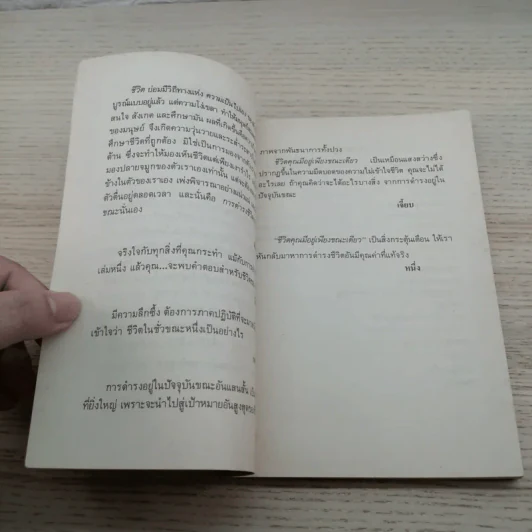 ชีวิตคุณมีอยู่เพียงขณะเดียว - เขมานันทะ รูปที่ 8