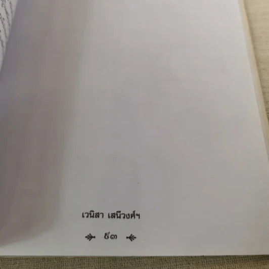พระยาพิชัยดาบหัก - เวนิสา เสนีวงศ์ฯ รูปที่ 13