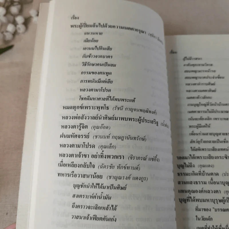หลวงตา วัดป่าบ้านตาด 1 รวมเรื่องเล่า สิ่งที่เห็น - คุณหลวงและคณะ รูปที่ 13