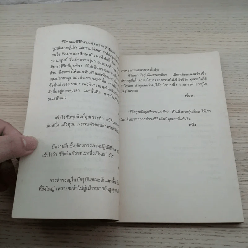 ชีวิตคุณมีอยู่เพียงขณะเดียว - เขมานันทะ รูปที่ 8