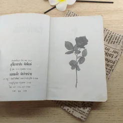 จันทร์ข้างแรม - โบตั๋น รูปที่ 9