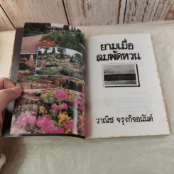 ยามเมื่อลมพัดหวน - วาณิช จรุงกิจอนันต์ รูปที่ 8